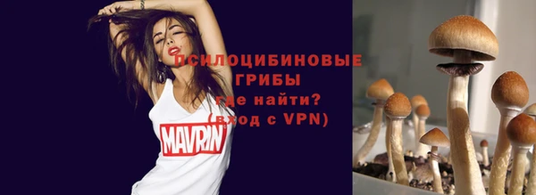 хмурый Абдулино